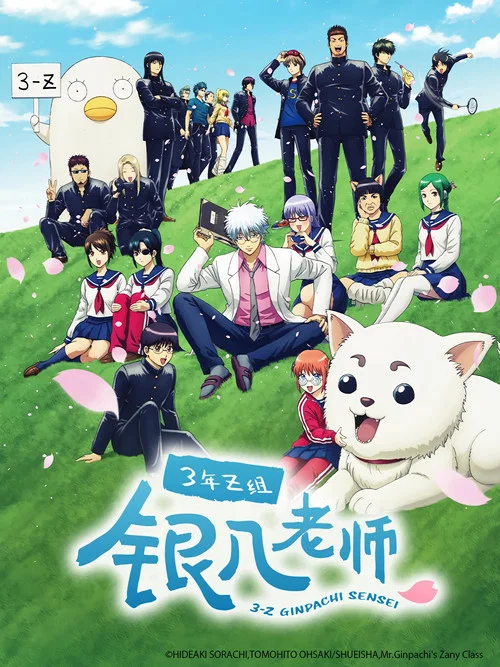 3年Z组银八老师(2025)海报