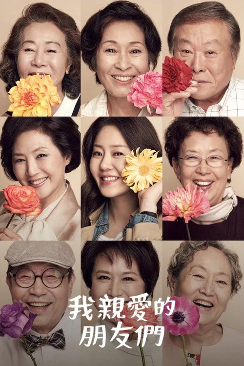 我亲爱的朋友们(2016)海报
