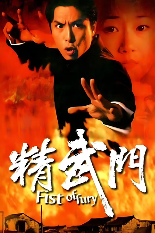 精武门(1995)海报