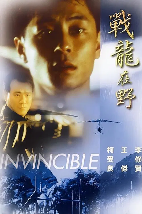 战龙在野1992(1992)海报