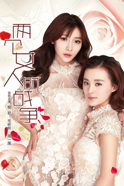 女人的战争(2015)海报