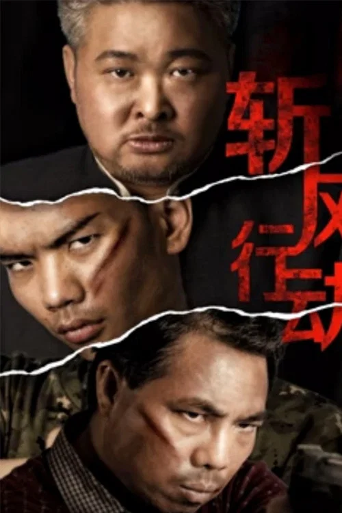 斩风行动(2019)海报