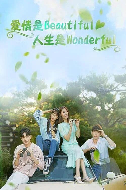 美丽爱情完美人生(2019)海报