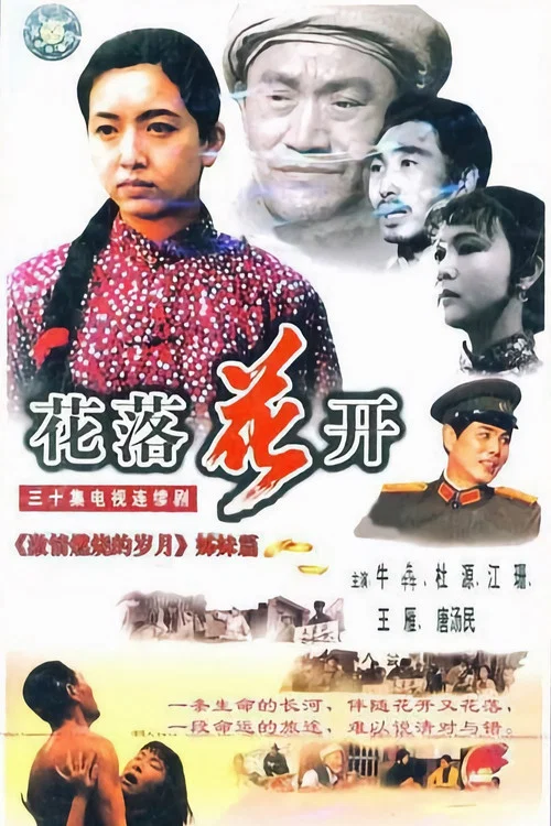 花落花开(1995)海报