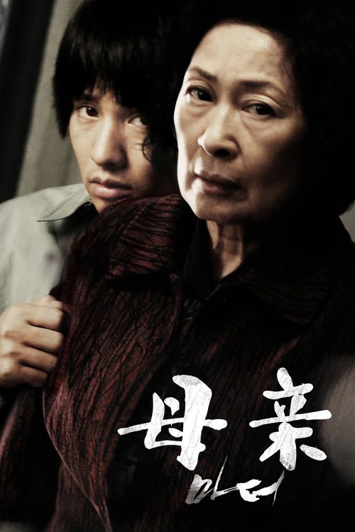 母亲2009(2009)海报