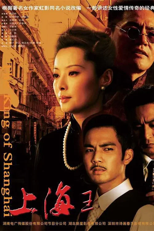 上海王2008(2008)海报