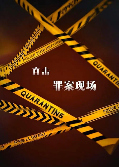 直击罪案现场(2024)海报