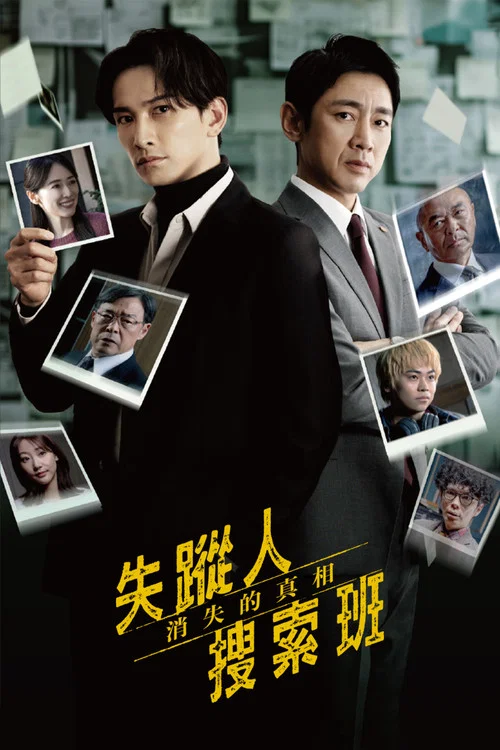 失踪的真相(2025)海报