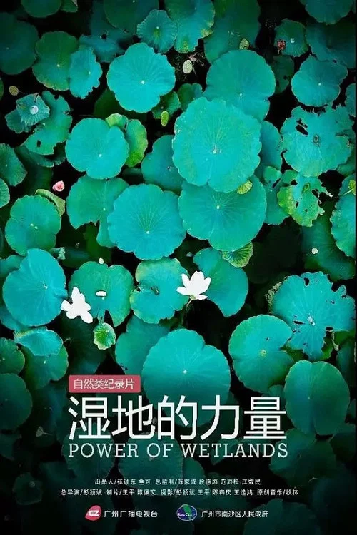 湿地的力量(2019)海报