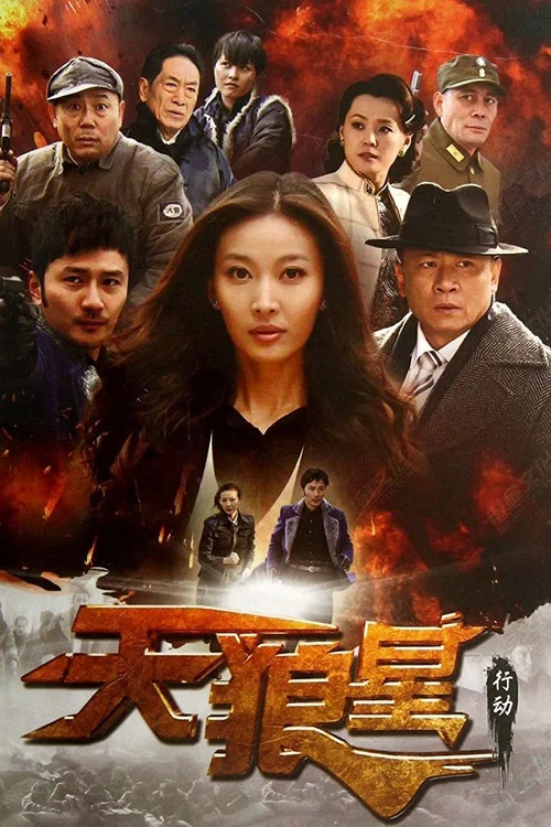 天狼星行动(2013)海报
