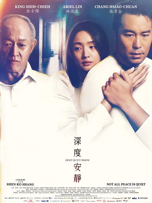 深度安静(2026)海报