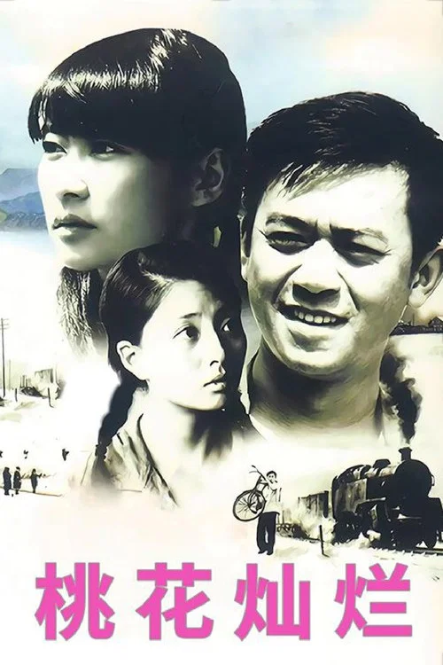 桃花灿烂(2007)海报