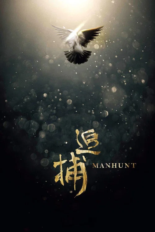 追捕2017(2017)海报