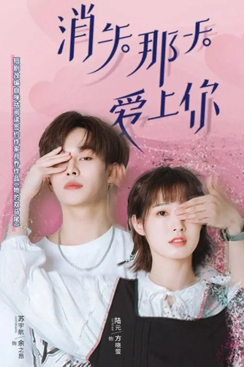 消失那天爱上你(2022)海报