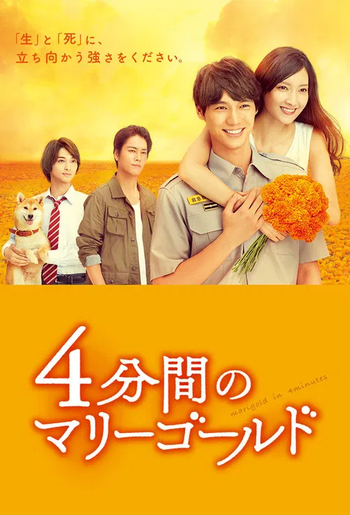 四分钟的金盏菊(2019)海报