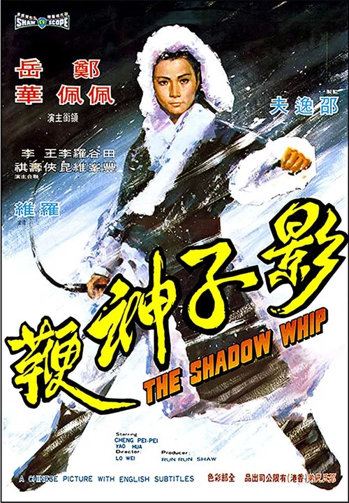 影子神鞭(1971)海报