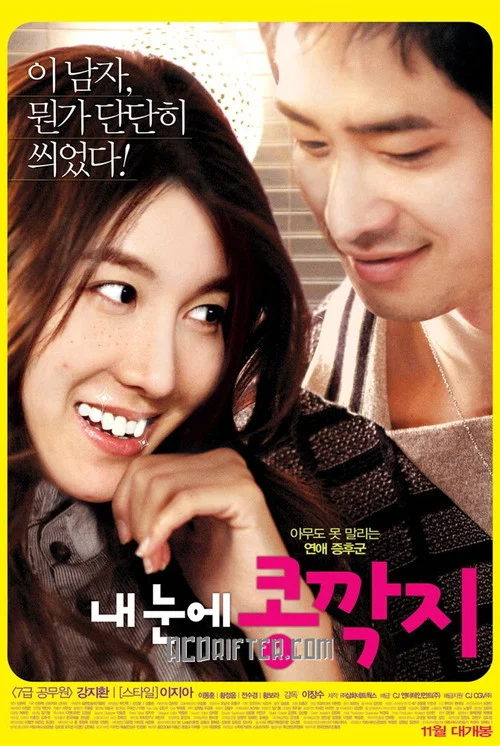 情人眼里出西施(2009)海报