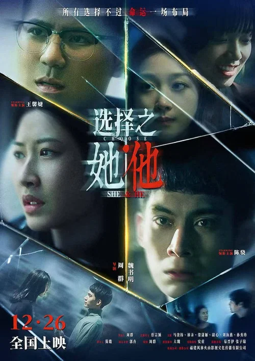 选择之她·他(2025)海报