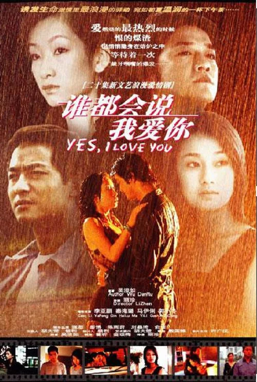 谁都会说我爱你(2003)海报