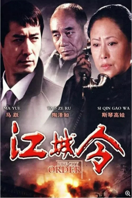 江城令(2009)海报