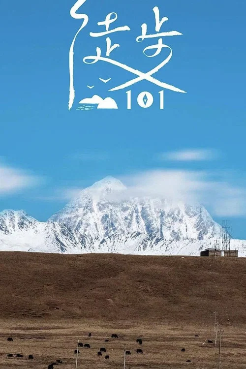 徒步101(2022)海报
