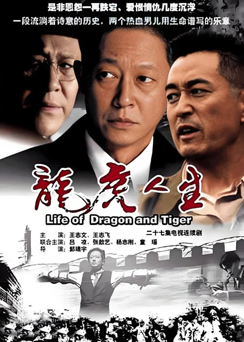 龙虎人生(2006)海报