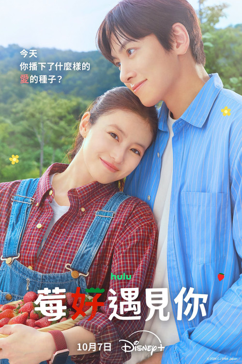 爱上草莓的季节(2026)海报
