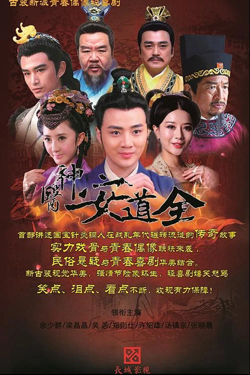 神医安道全(2014)海报