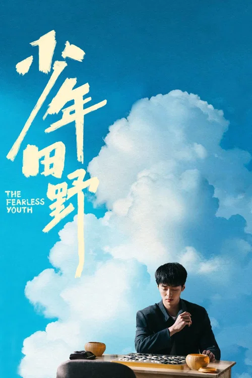 少年田野(2025)海报