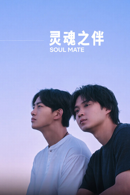 灵魂之伴(2026)海报