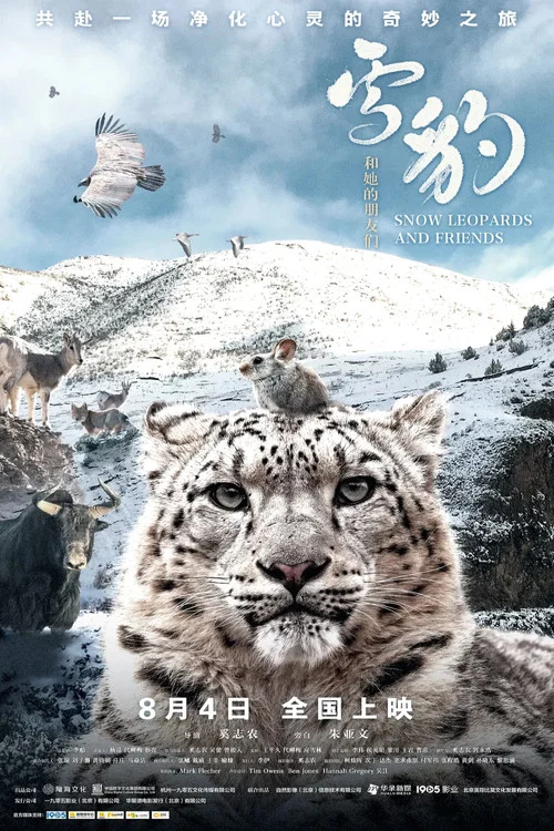雪豹和她的朋友们剧照2