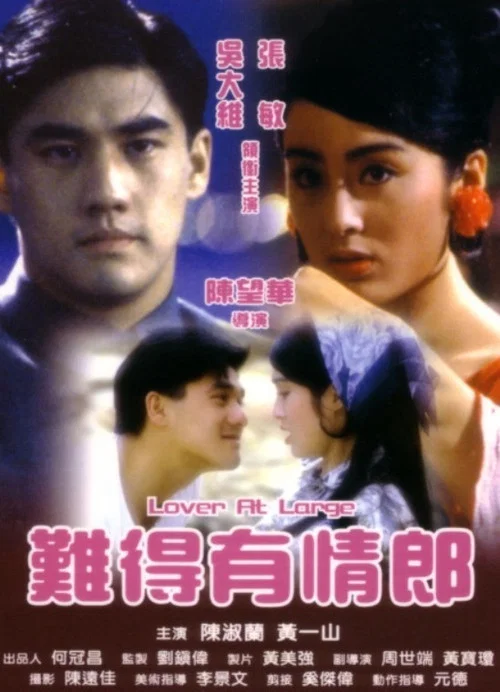 难得有情郎(1991)海报