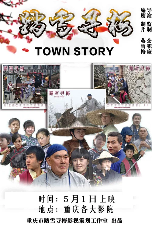 踏雪寻梅(2014)海报