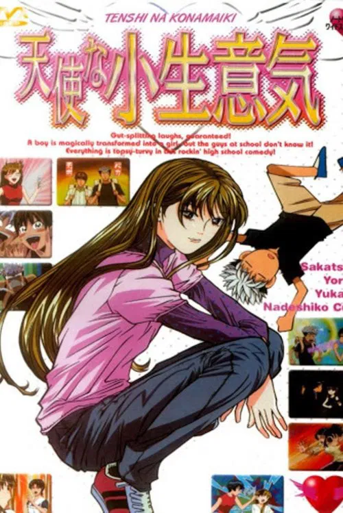 天使的小生意气(2002)海报