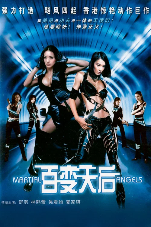 绝色神偷(2001)海报