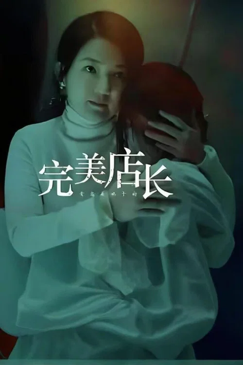 完美店长(2024)海报