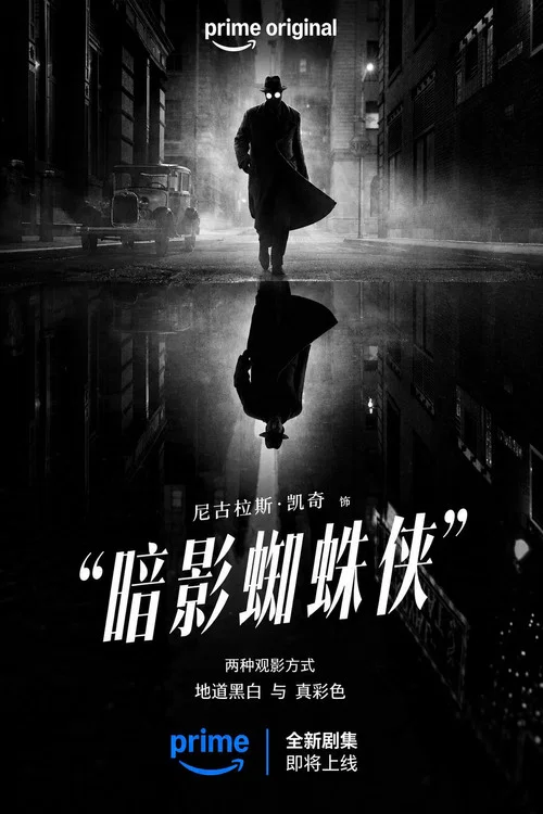 暗影蜘蛛侠剧照2