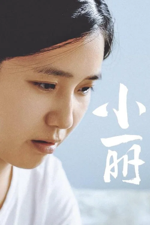 小丽(2025)海报