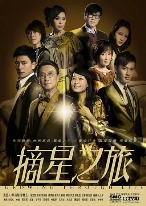 摘星之旅粤语(2010)海报