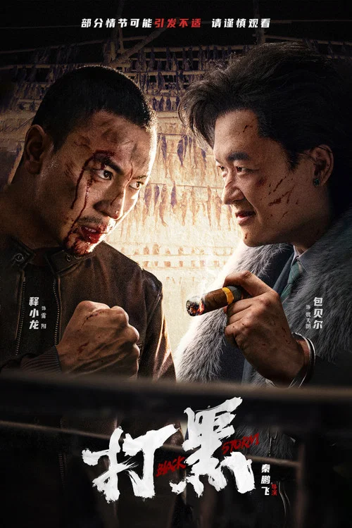 打黑(2024)海报