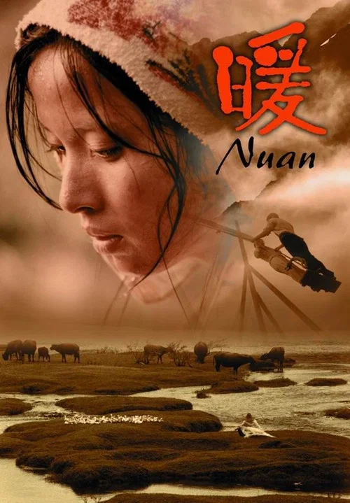 暖2003(2004)海报