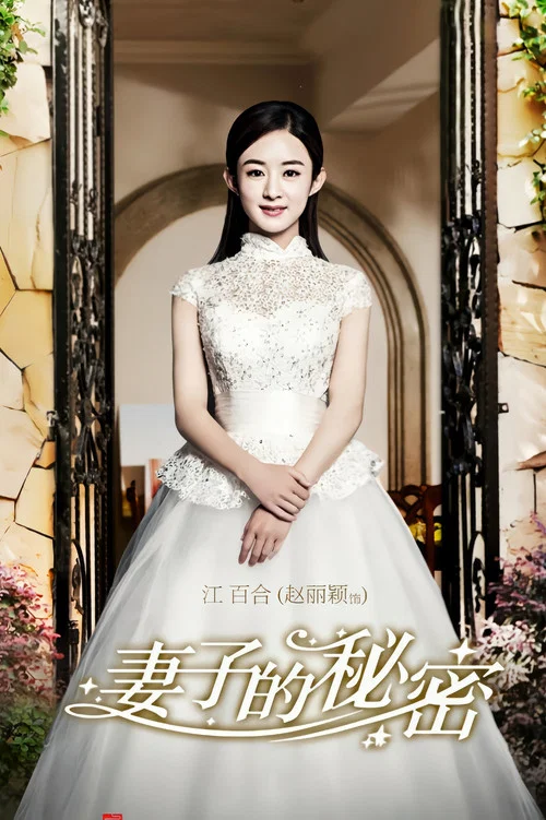 妻子的秘密(2014)海报