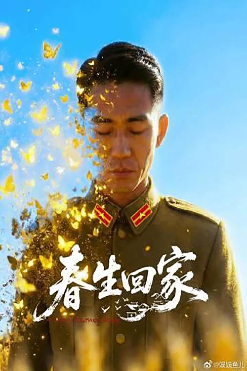 春生回家(2026)海报