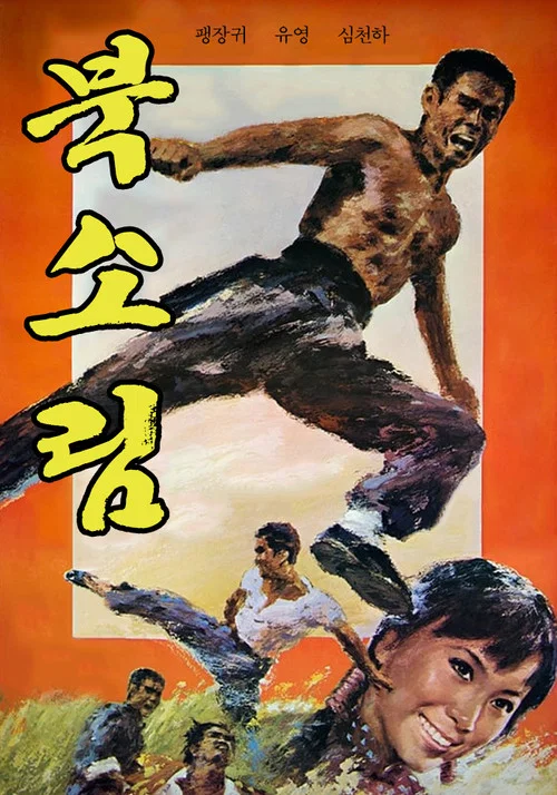 北地虎(1976)海报