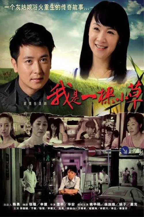 我是一棵小草(2009)海报