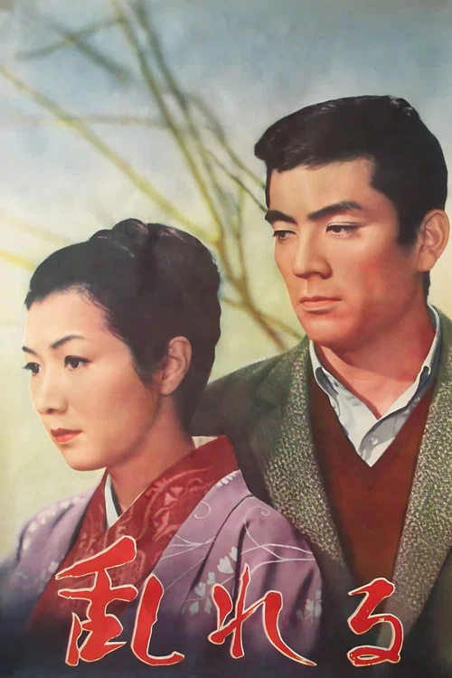 情迷意乱(1964)海报