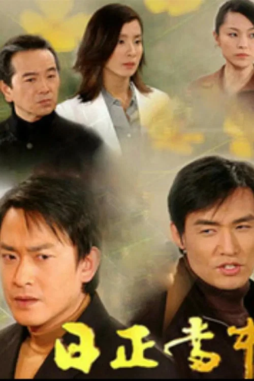 日正当中(2003)海报