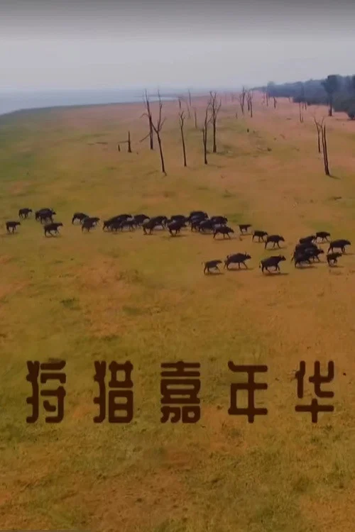 狩猎嘉年华(2023)海报