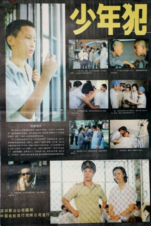 少年犯(1985)海报