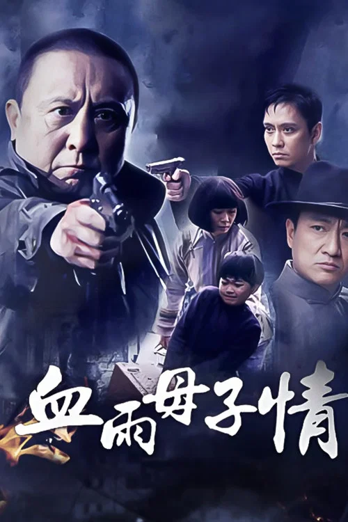 血雨母子情(2012)海报